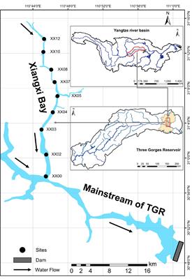 Zooplankton Size Structure in Relation to Environmental Factors in the Xiangxi Bay of Three Gorges Reservoir, China